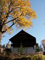 Orava 049